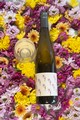 2022 Floral Pleasure, White Wine, California - View 4