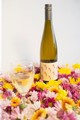 2022 Floral Pleasure, White Wine, California - View 3